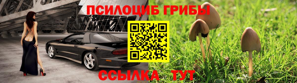 Псилоцибиновые грибы мухоморы Орск